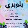 پایگاه تابستانی پایه نهم/💠 بلوبری 💠